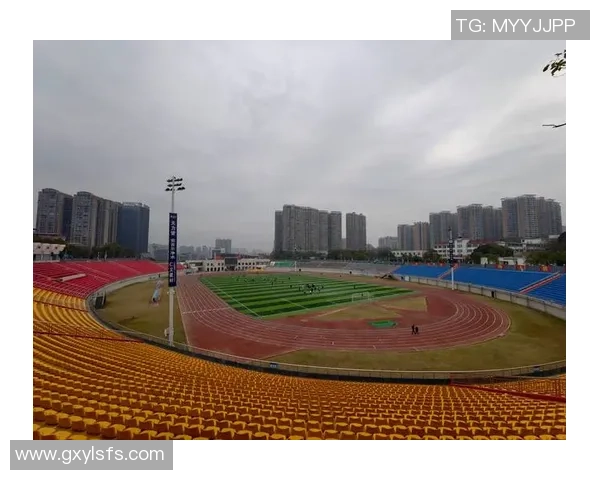 足球魅力无穷从球场到生活探讨足球文化的深远影响与发展趋势